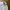Tommy Hilfiger Minimalist Casual Formal shirt Pria white photo 7