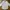 Tommy Hilfiger Minimalist Casual Formal shirt Pria white photo 1