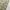 long pants cargo camo / army photo 4