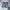 The North Face Sportswear Other Pria multicolor photo 2