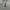 Y2K Emo Bodysuit Wanita gray photo 5