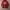 Hoddie Vision Club photo 2