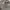 JAKET BASEBALL GIANT OFFICIAL photo 2