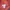 Pancoat Avant Garde Pria pink photo 5
