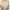 BEIGE STUDIO top photo 2