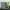 LIGHTYEAR BUZZ LIGHTYEAR ALPHA SUIT photo 2