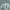 Kaos Casual Comfort Colors T-shirt Nature Backs Whased Green photo 9