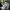 Kemeja MTV Classic All-over retro MTV Logo Music Television photo 6