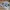 New Balance Casual Sneakers Pria multicolor white photo 1