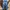CROSSBILL CELANA PANJANG JEANS BIRU KATUN DENIM MELAR FIDING photo 8