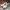 Nike Casual Sneakers Pria multicolor white photo 3