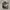 Realtree Hat WESTERN CROP photo 5