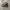 Realtree Hat ATLAS photo 4