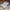 AMBUSH Casual Sneakers Wanita multicolor white photo 3