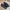 AMBUSH Casual Sneakers Wanita black photo 1