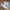 Nike Casual Sneakers Pria white photo 1