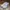 Nike Casual Sneakers Pria white photo 3