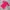 Sportswear Casual Shirt Wanita pink photo 2