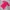 Sportswear Casual Shirt Wanita Pink