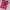 T-Shirt Adidas Woman Camo Logo Graphic Pink photo 2