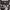Klein Plus Top Milkmaid Abstrack Vintage photo 2