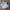 Nike Air Jordan Casual Sneakers Wanita white gray photo 1