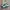 Adidas Casual Sneakers Pria white green photo 1