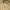 S. Oliver Women Overcoat Jacket Wanita Outwear photo 3