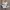 Nike Casual Sneakers Pria white black photo 1