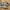 Adidas Casual Sneakers Pria gray photo 1