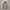 Zip Hoodie Uniqlo Sherpa