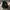 PAS NORMAL STUDIOS CAP photo 5