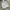 Nike white small logo Windbreaker / Running Jacket photo 10