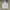 Nike white small logo Windbreaker / Running Jacket photo 3