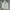 Nike white small logo Windbreaker / Running Jacket photo 6