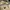 Pull & Bear Casual Boyfriend jeans Wanita cream photo 4