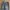 BOOTCUT BY LOGO DE CORPS photo 8