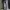 BOOTCUT BY LOGO DE CORPS photo 3