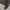 Armani	 Luxury Casual Sweater Pria brown photo 4