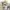 ZARA Luxury Casual Polo shirt Pria tan cream photo 3
