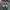 Adidas Casual Casual shoe Pria white green photo 1