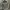 Casual Sweater Wanita gray photo 1