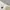 H&M Streetwear Casual High waisted jeans Wanita white photo 2