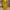 Japanese brand Casual Midi dress Wanita yellow photo 1