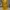 Japanese brand Casual Midi dress Wanita yellow photo 2