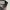 Chrome Hearts Trucker Hat CH Hollywood Usa photo 5