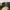 Chrome Hearts Trucker Hat CH Hollywood Usa photo 4