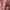Luxury Muslim Other Wanita pink brown photo 6
