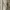 Pierre Cardin Yellow Stripe Shirt photo 4