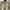 Pierre Cardin Yellow Stripe Shirt photo 3